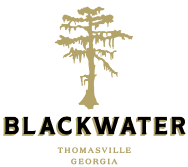 blackwater-logo-text-only