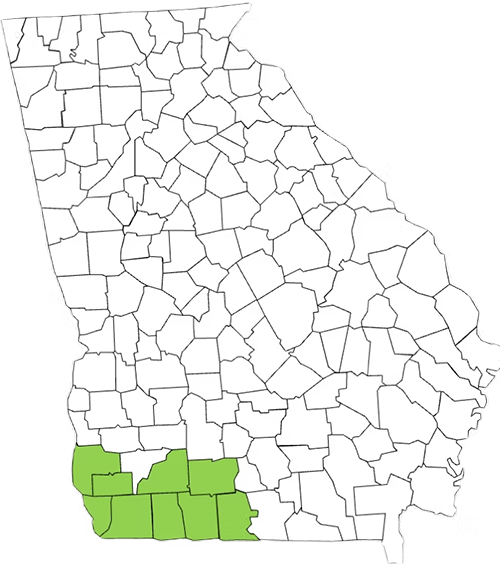 swga-map SWGA